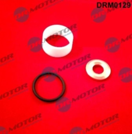 Injector Kit (for 1 injector) DRM0129