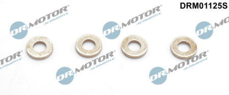 Injector Washer Set (2 pcs.) DRM01125S