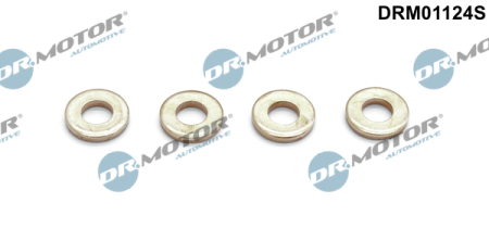 Injector Washer Set DRM01124S