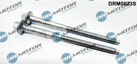 Injector bolt (2 pcs.) DRM0623S