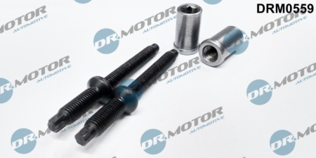 Injector bolt (4 elements) DRM0559