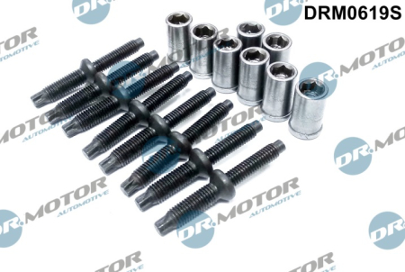 Injector bolt (16 elements) DRM0619S