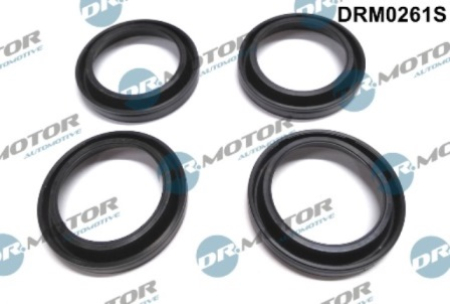 Injector sealing (4 pcs.) DRM0261S