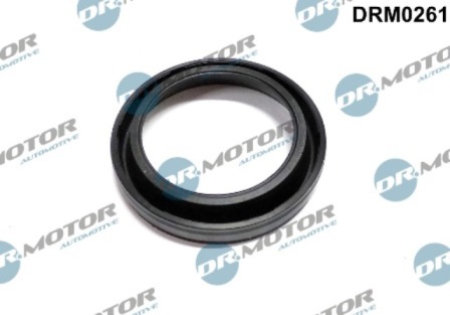 Injector sealing DRM0261