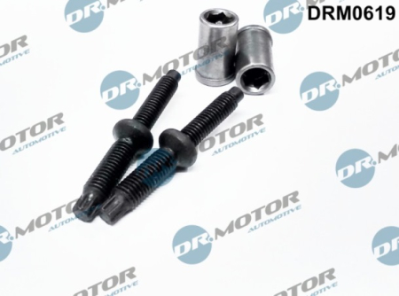 Injector bolt (4 elements) DRM0619