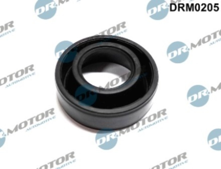 Gasket (for 6 injectors) DRM0205