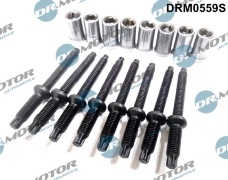 Injector bolt (16 elements) DRM0559S