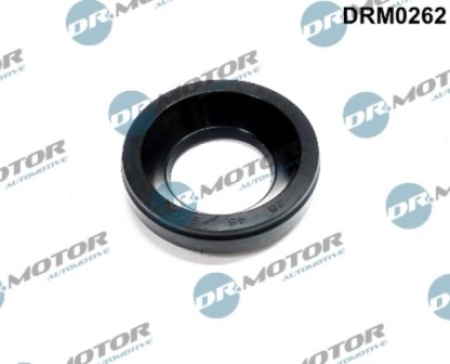 Injector sealing DRM0262